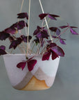 Misty Morning Brass Hanging Planter by Leaf & Thread - THE PLANT SOCIETY