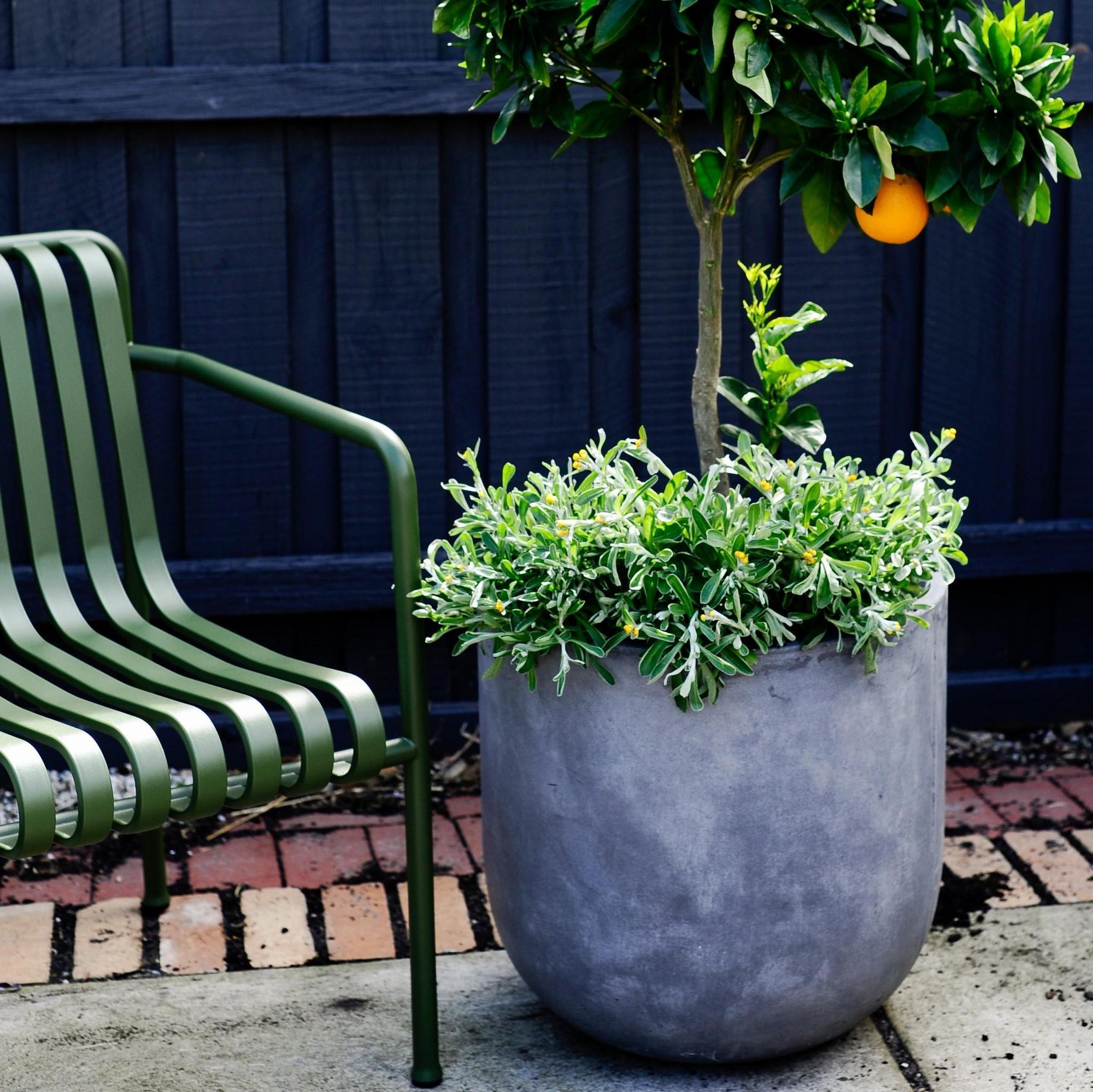 U-Planter - THE PLANT SOCIETY