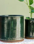 Moody Green Bench Planter by Jenn Johnston - THE PLANT SOCIETY