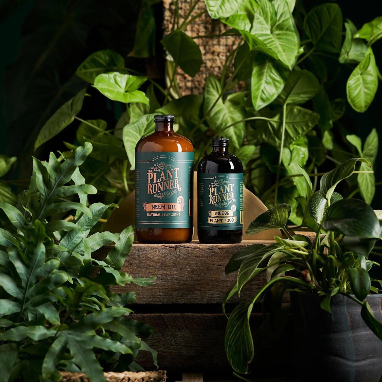 indoor plant neem oil Neem Oil Natural Leaf Shine 1L Refill by Plant Runner – THE PLANT SOCIETY