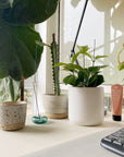 Tailored Corporate gifts - THE PLANT SOCIETY