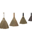 Seja Brooms - THE PLANT SOCIETY