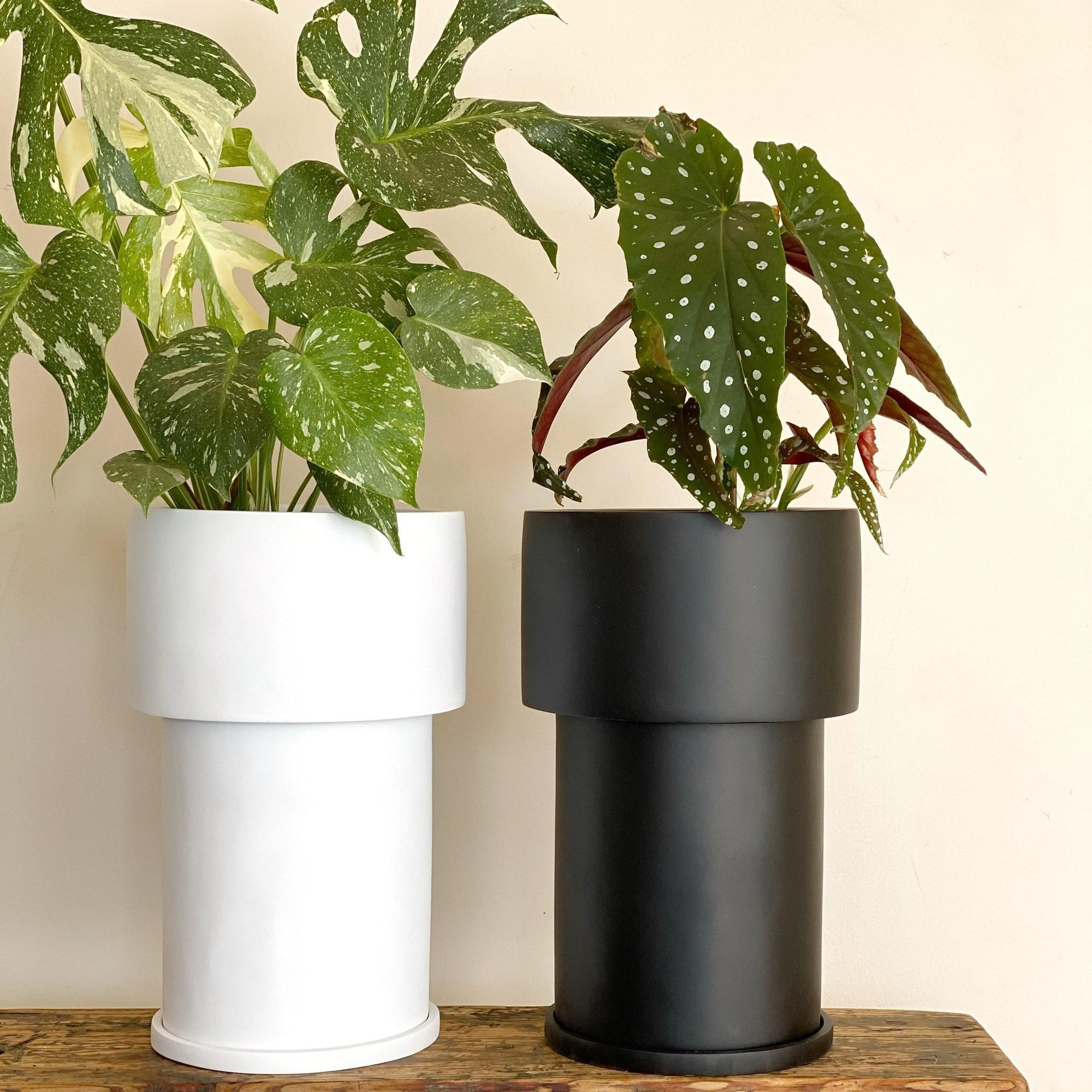 Midi Tall Tower Planter by The Plant Society x Capra Designs- Totem Collection - - THE PLANT SOCIETY