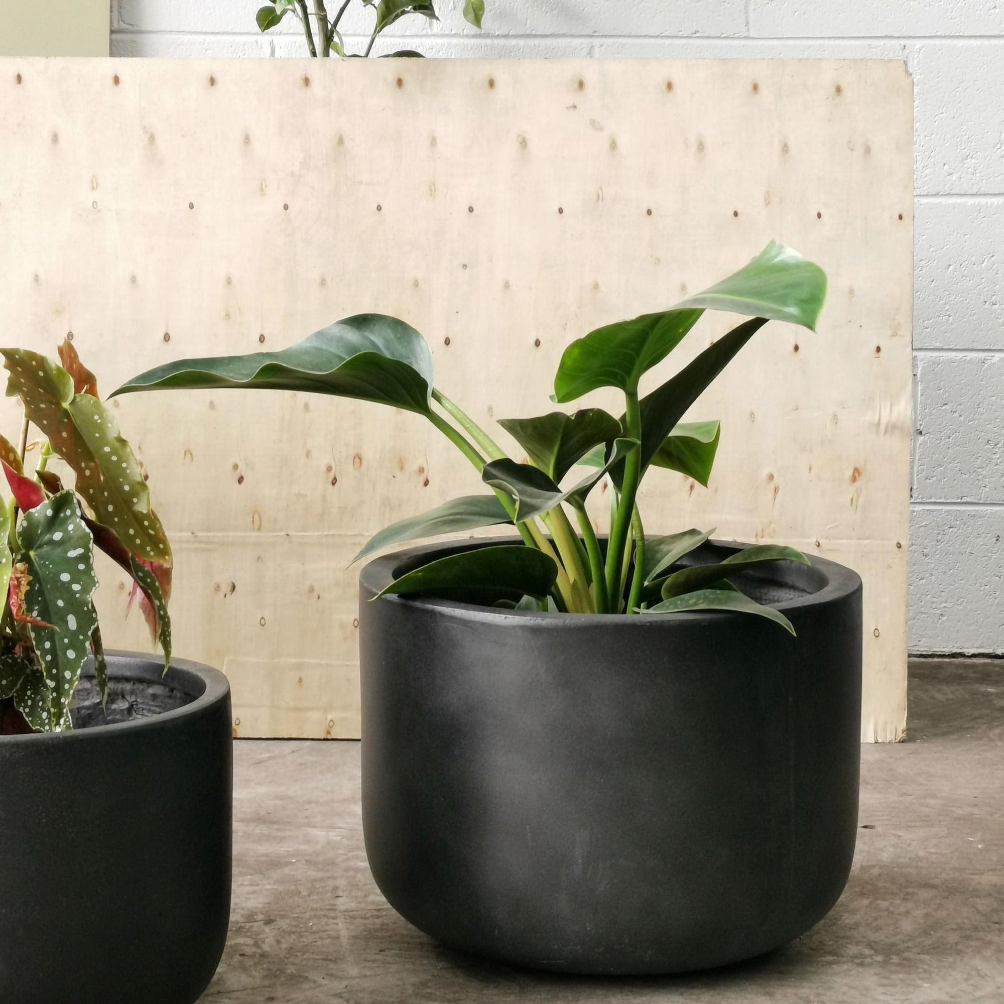 Gardeners Planter - Charcoal - THE PLANT SOCIETY
