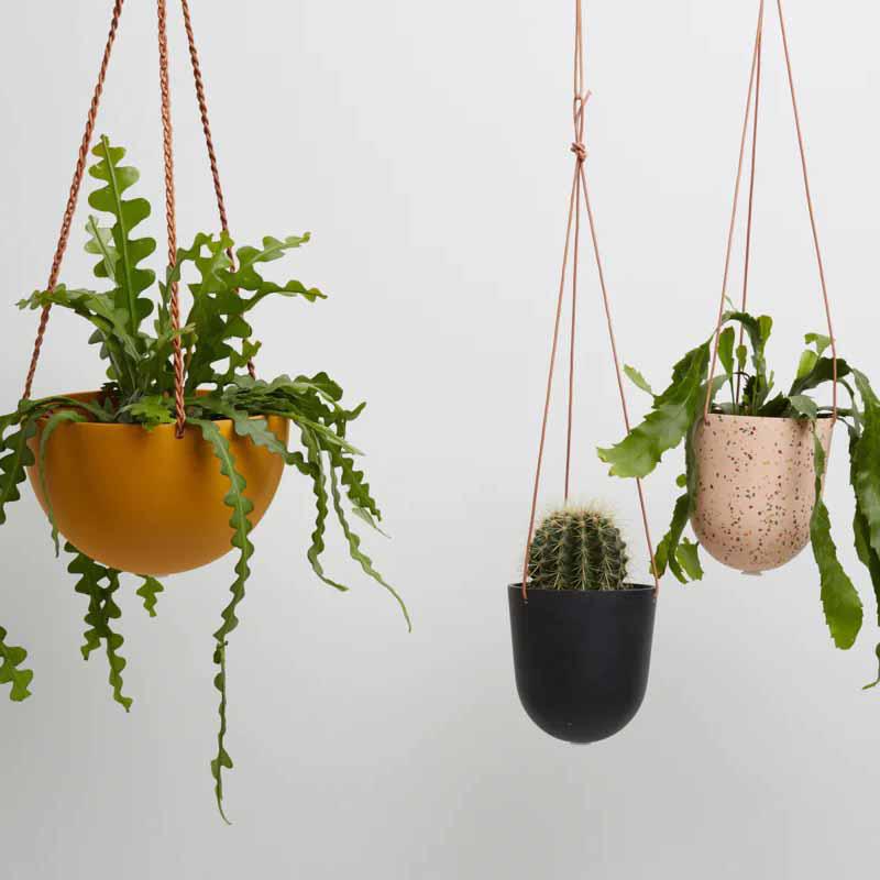 hanging planter australia Hanging Planter by Capra Designs