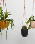 Hanging Planter by Capra Designs