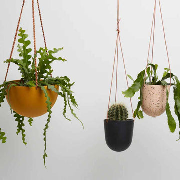 Hanging Planter by Capra Designs