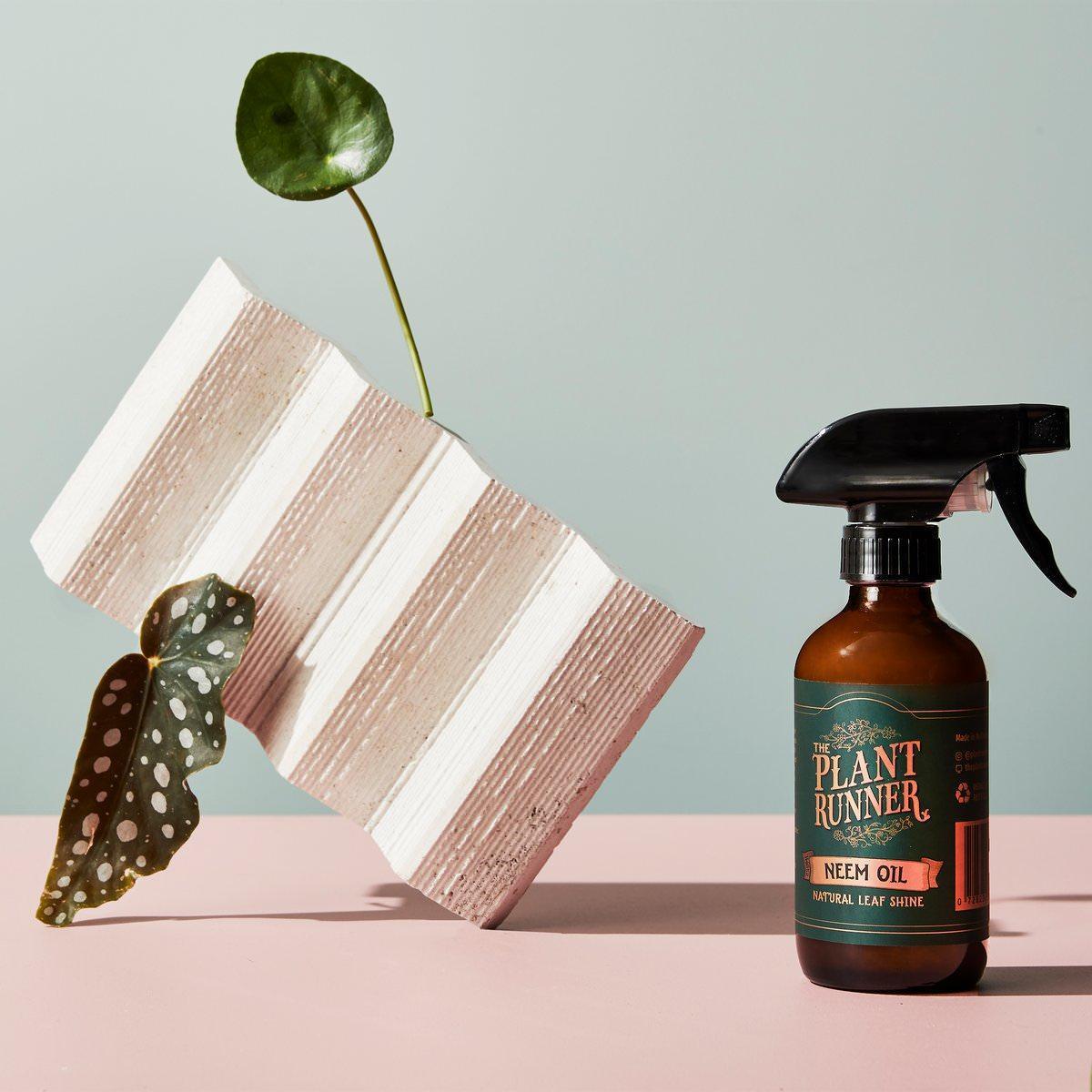 Neem Oil Natural Leaf Shine by Plant Runner - THE PLANT SOCIETY