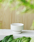 White Collectors Gro Pot by Angus & Celeste - THE PLANT SOCIETY