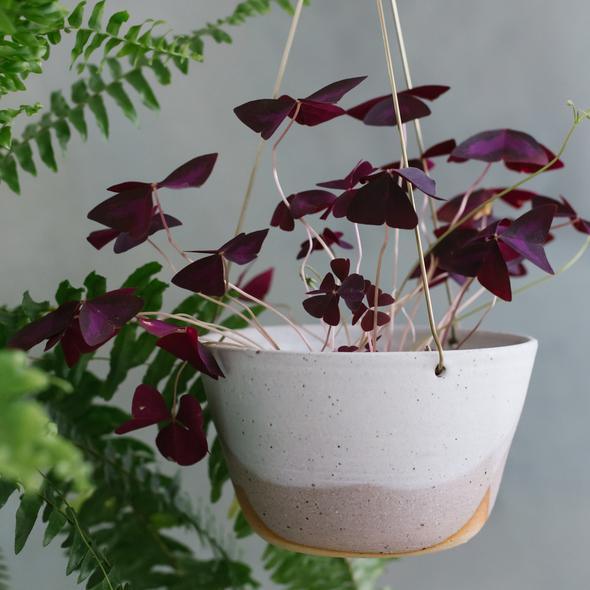 Misty Morning Brass Hanging Planter by Leaf & Thread - THE PLANT SOCIETY