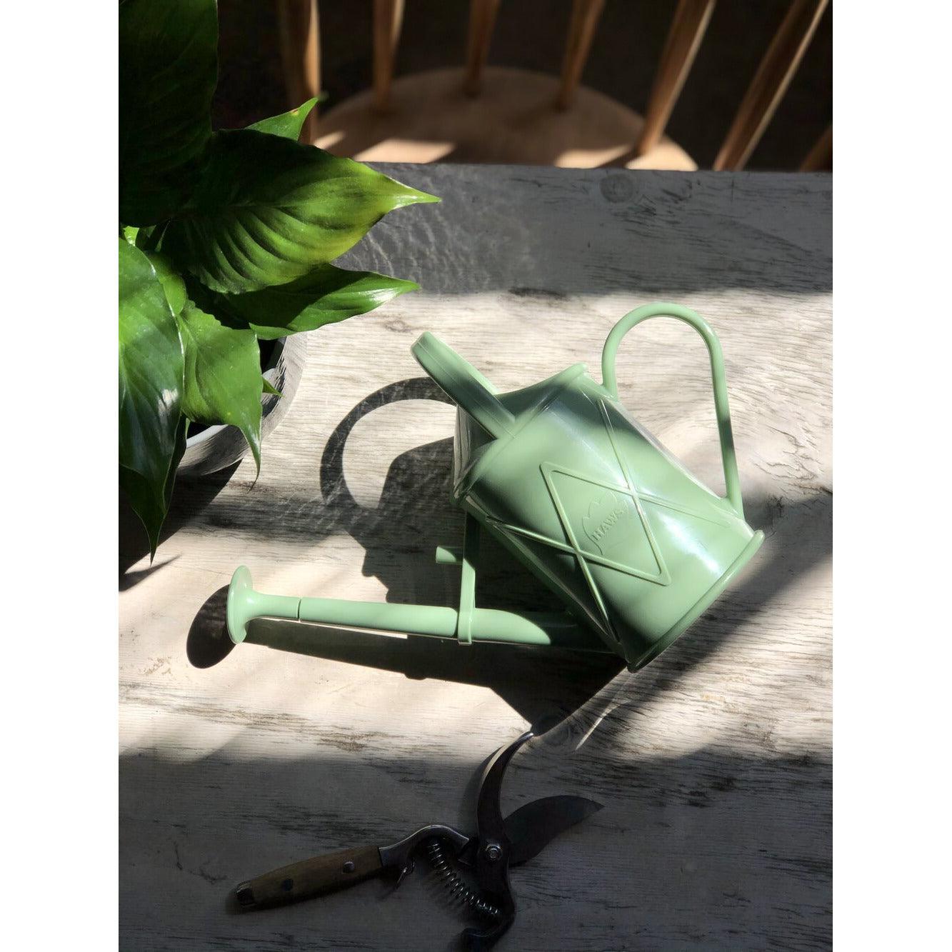 Plastic Watering Can 1000mL by Haws - THE PLANT SOCIETY
