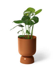 Small Goblet Planter by Lightly