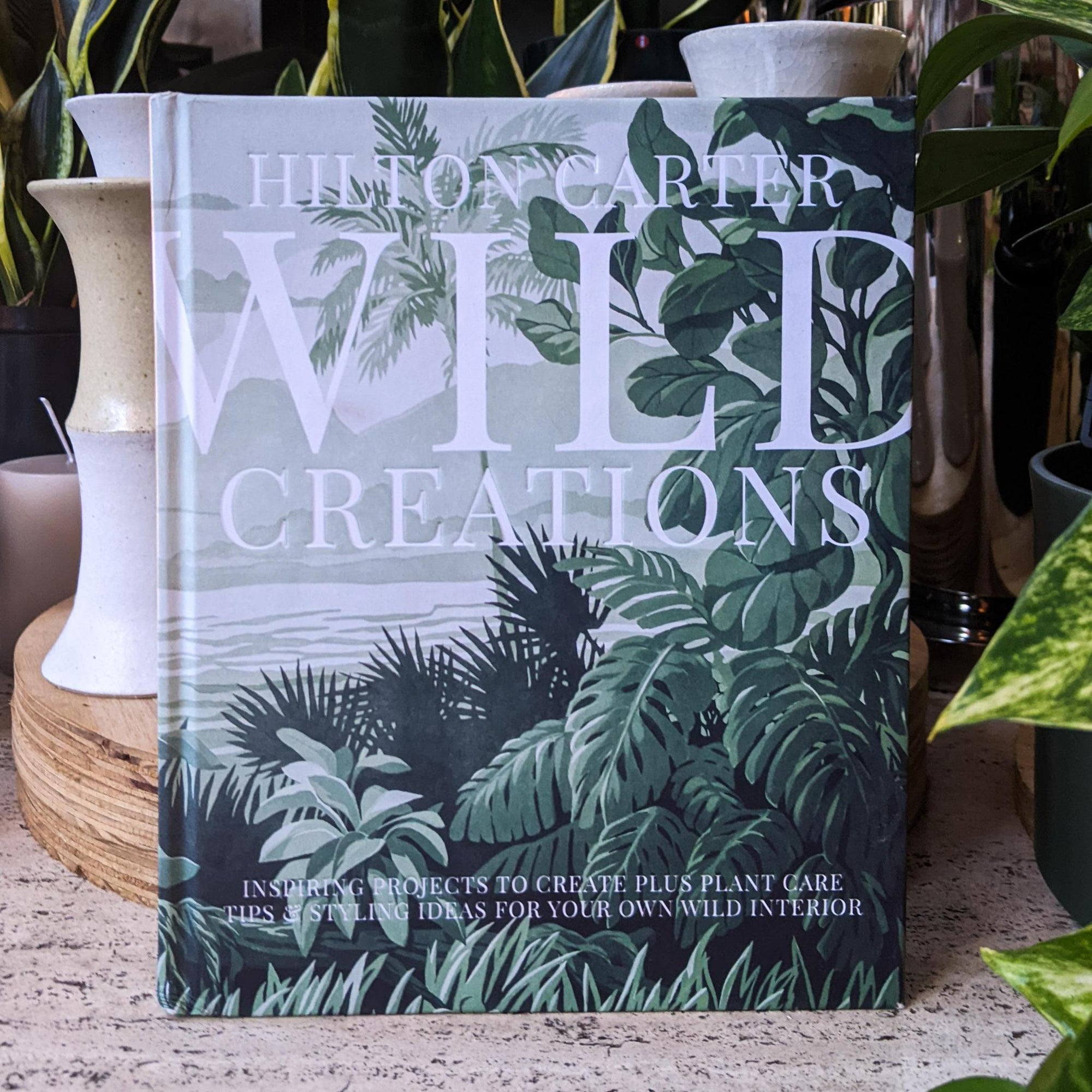 Wild Creations by Hilton Carter