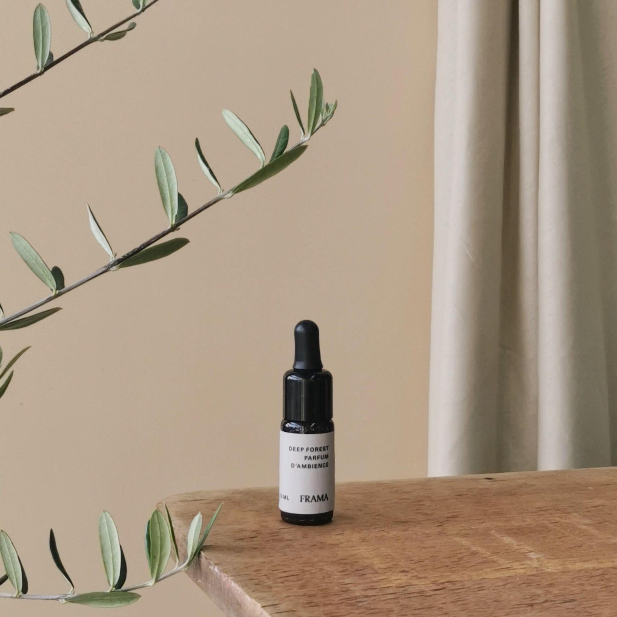 From Soil to Form | Charcoal | Deep Forest By FRAMA - THE PLANT SOCIETY