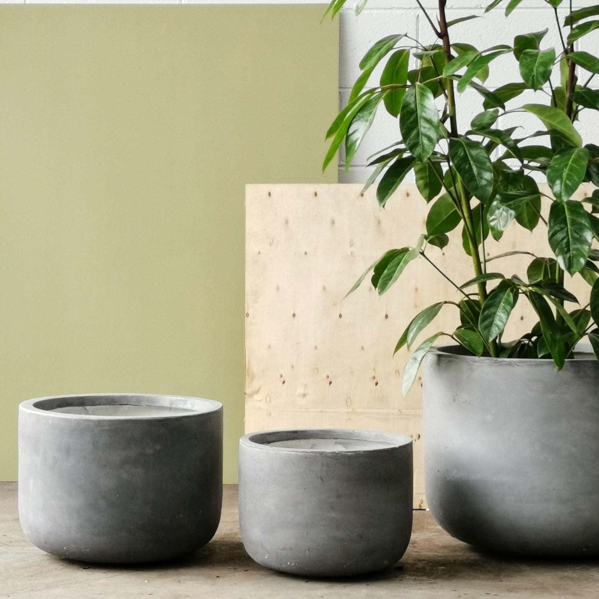 Gardeners Planter - Cement Grey - THE PLANT SOCIETY