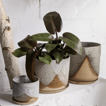 Misty Morning Planter by Leaf & Thread - THE PLANT SOCIETY