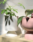 Large Goblet Planter by Lightly - THE PLANT SOCIETY