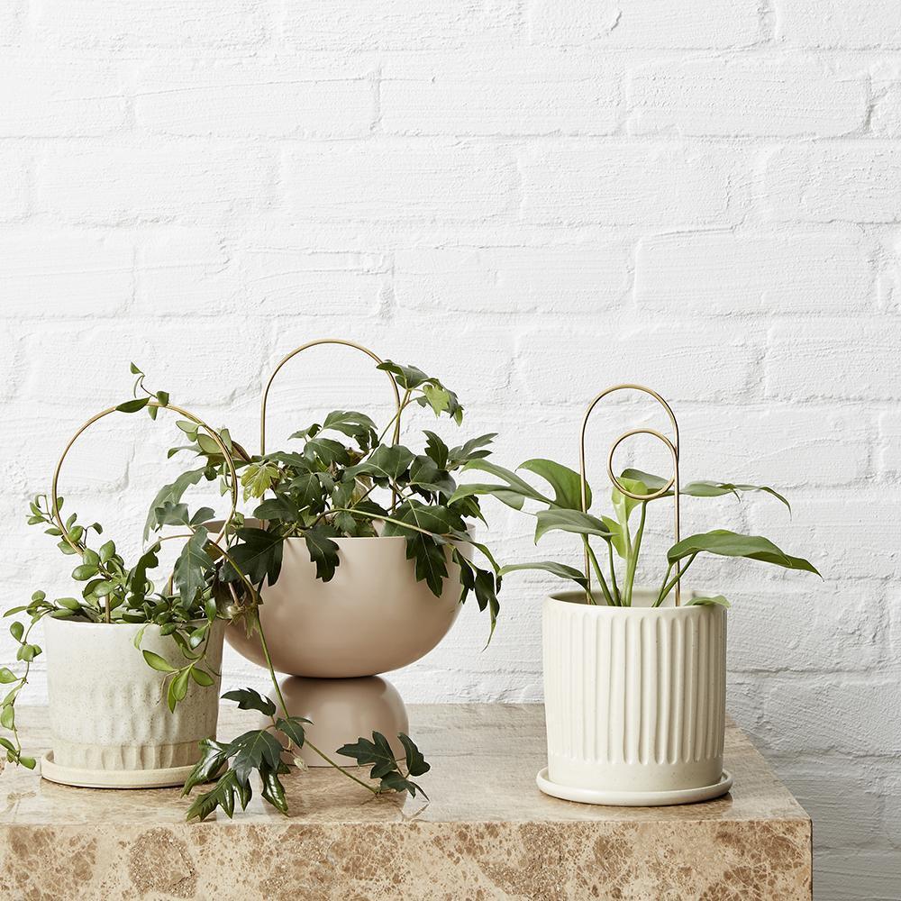 Mini Loop Plant Stake by Ivy Muse - THE PLANT SOCIETY