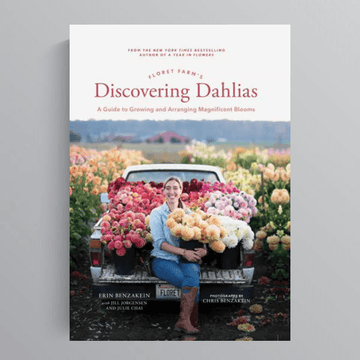 Floret Farm's Discovering Dhalias  by Erin Benzakein - THE PLANT SOCIETY