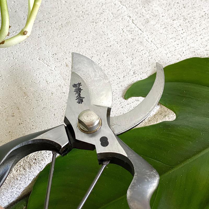 The Plant Society x Toyama Hamono Secateurs - THE PLANT SOCIETY