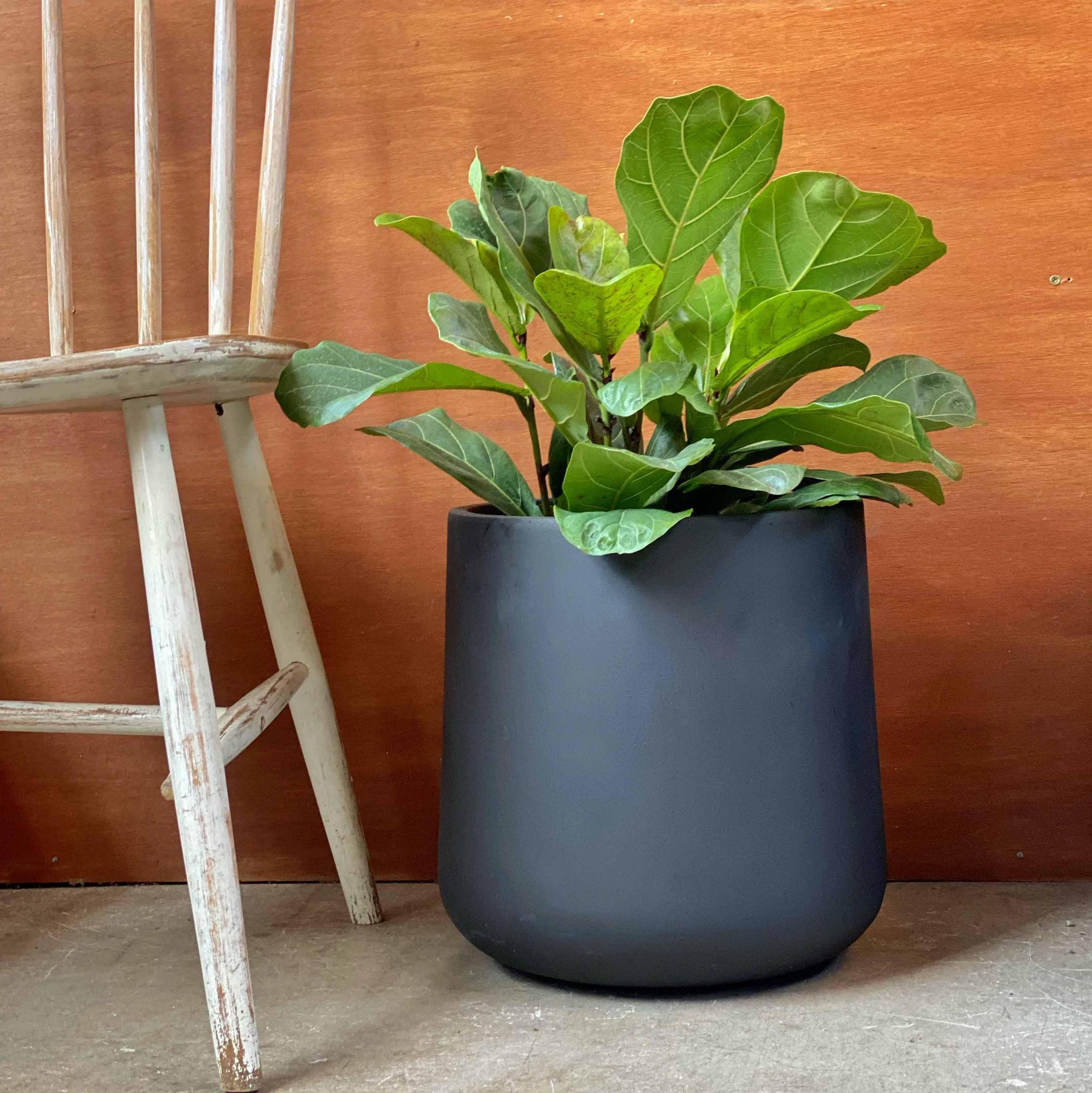 Curved Tapered Planter in Charcoal