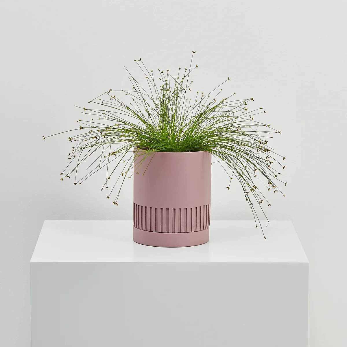 Etch Planter by Capra Designs