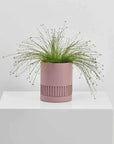 Etch Planter by Capra Designs