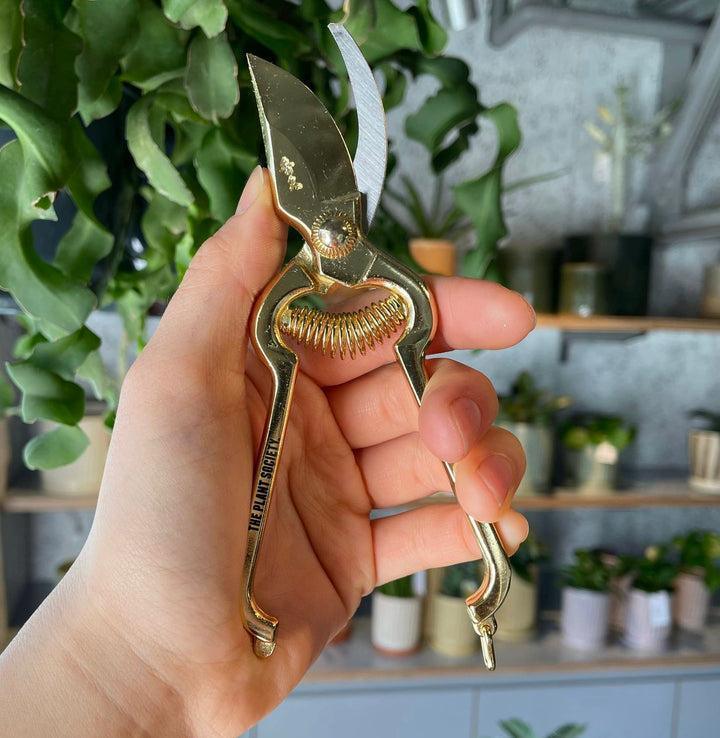 The Plant Society x Mini Secateurs - THE PLANT SOCIETY
