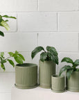 Sage Fluted Planter by Arcadia Scott - THE PLANT SOCIETY