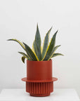 Roma Planter by Capra Designs
