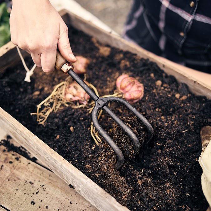 Walnut rake discount