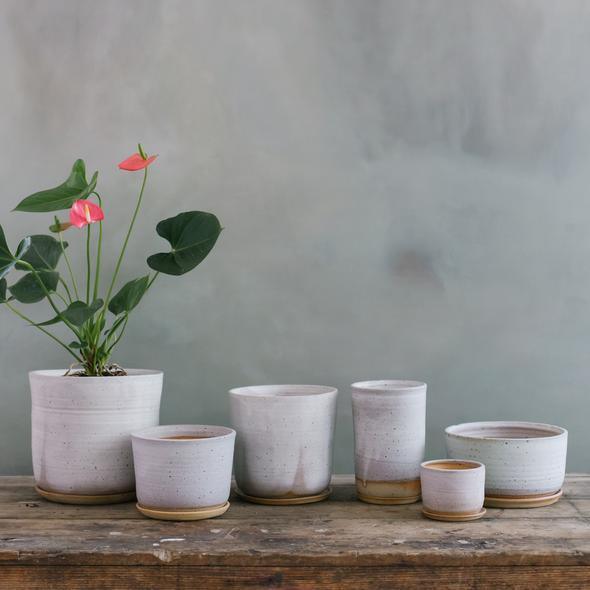 Misty Morning Planter by Leaf & Thread - THE PLANT SOCIETY