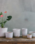 Misty Morning Planter by Leaf & Thread - THE PLANT SOCIETY