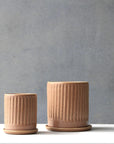 Russet Fluted Planter by Arcadia Scott - THE PLANT SOCIETY