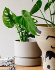 Cora Planter by The Plant Society in Stone - THE PLANT SOCIETY