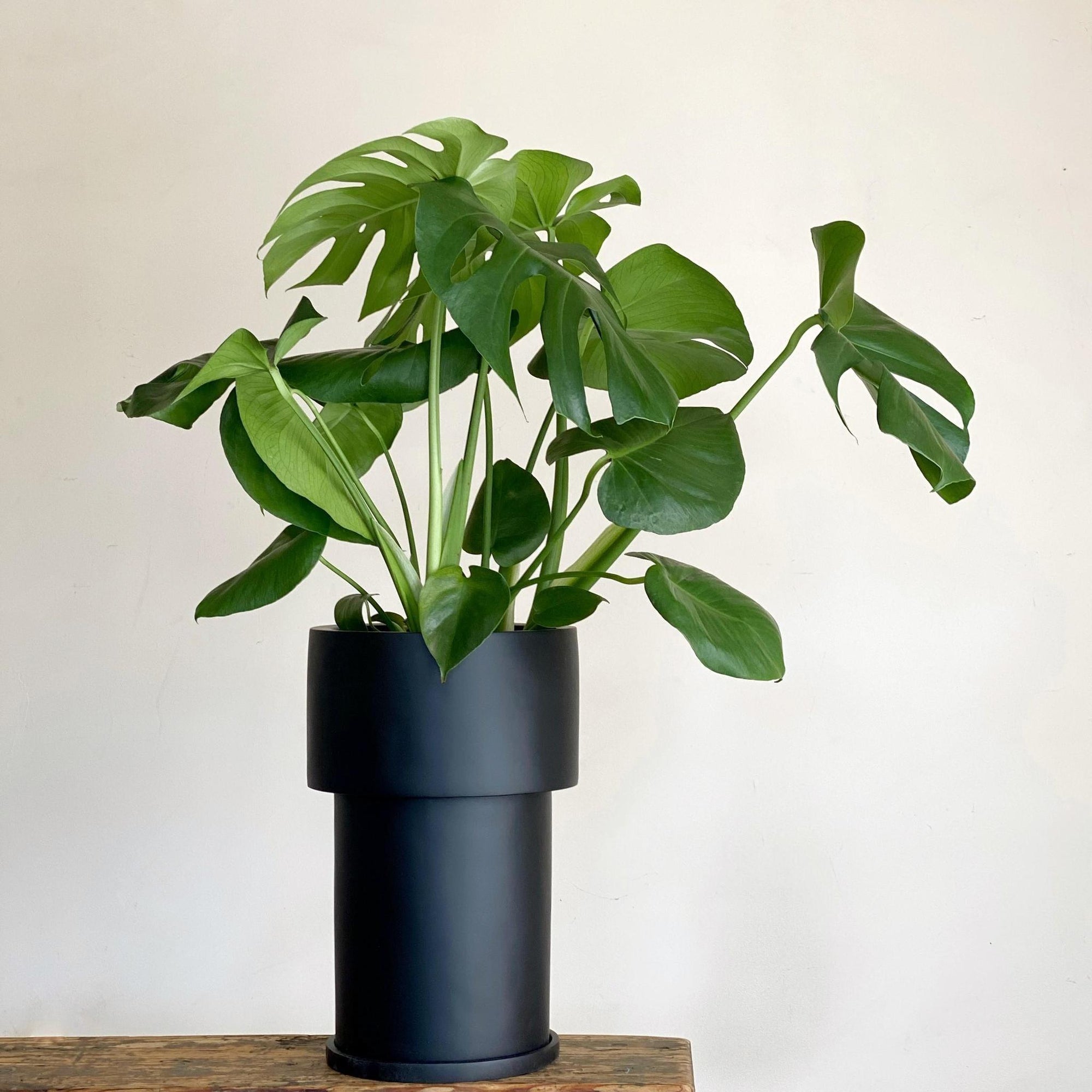 Midi Tall Tower Planter by The Plant Society x Capra Designs- Totem Collection - - THE PLANT SOCIETY