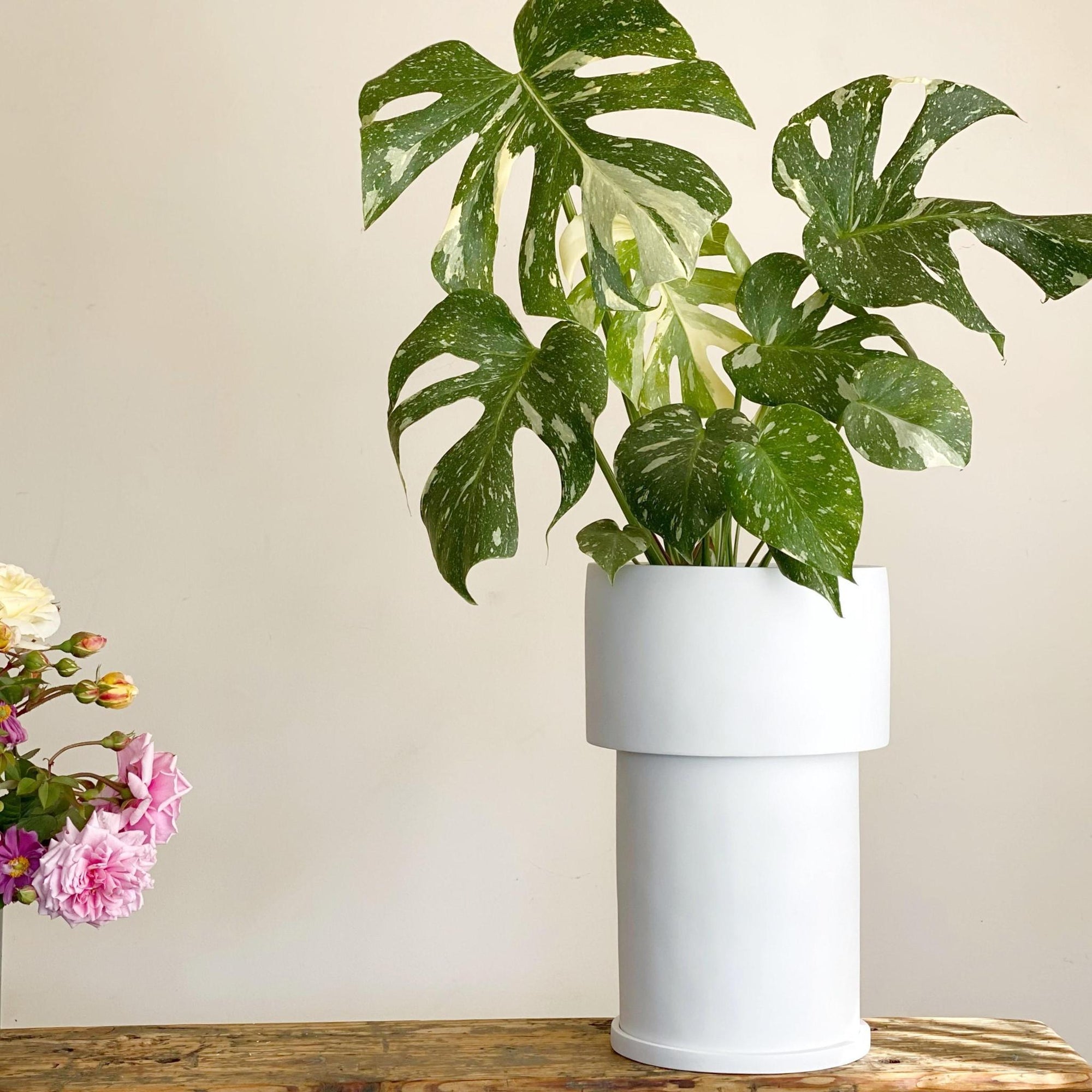 Midi Tall Tower Planter by The Plant Society x Capra Designs- Totem Collection - - THE PLANT SOCIETY