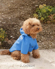 Sarah Dog Raincoat in Plain French Blue by The Painter's Wife - THE PLANT SOCIETY