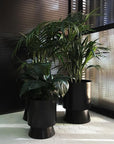 Extra Large Palm Springs Planter by Lightly
