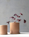 Russet Fluted Planter by Arcadia Scott - THE PLANT SOCIETY