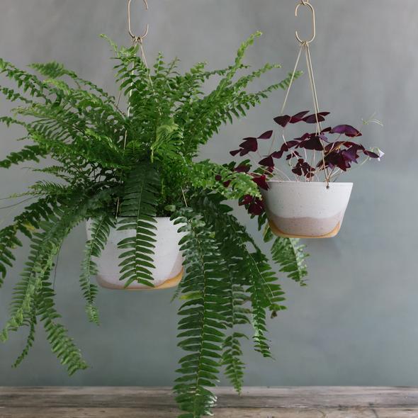 Misty Morning Brass Hanging Planter by Leaf & Thread - THE PLANT SOCIETY