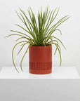 Etch Planter by Capra Designs