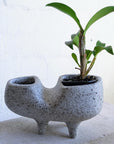 Tropic of Fango by Buzzby & Fang - THE PLANT SOCIETY