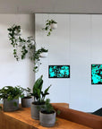Raw Earth Hanging Planters by Angus & Celeste - THE PLANT SOCIETY