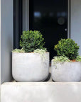 Gardener's Planters Cement Grey