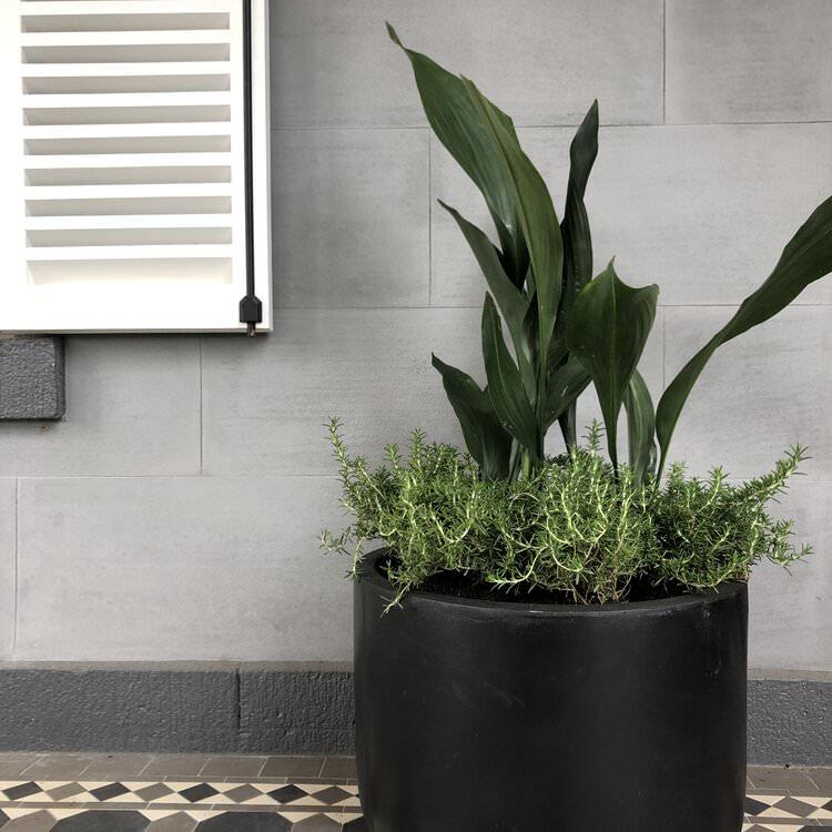 Gardner's Planters Charcoal