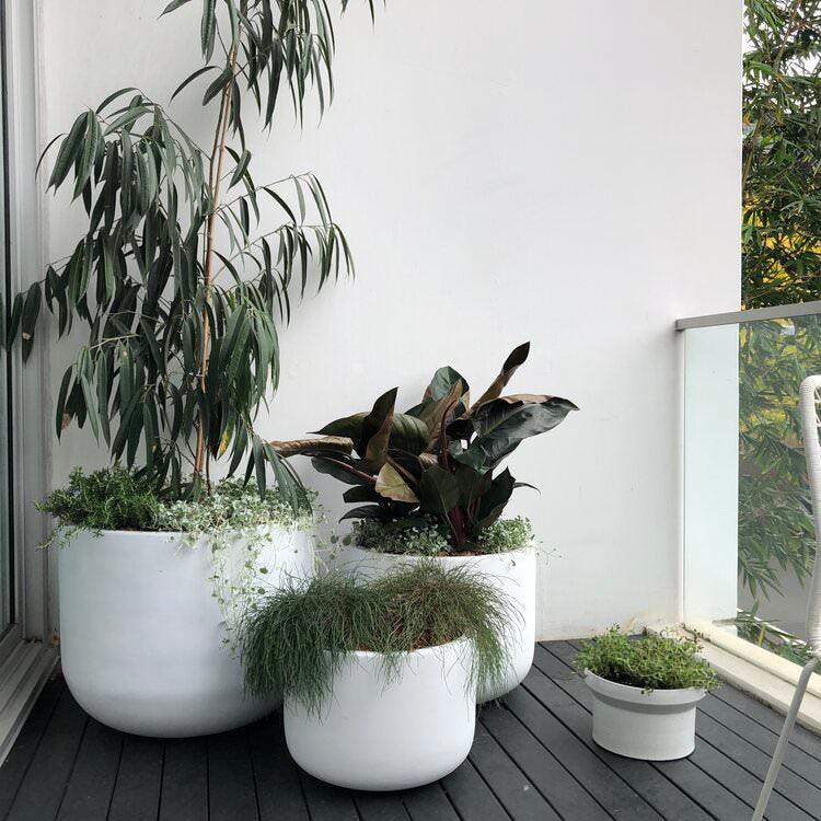 white garden plant pots Gardeners Planter