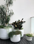 Gardner's Planters White