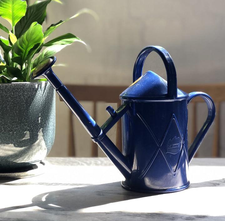 Plastic Watering Can 1000mL by Haws - THE PLANT SOCIETY