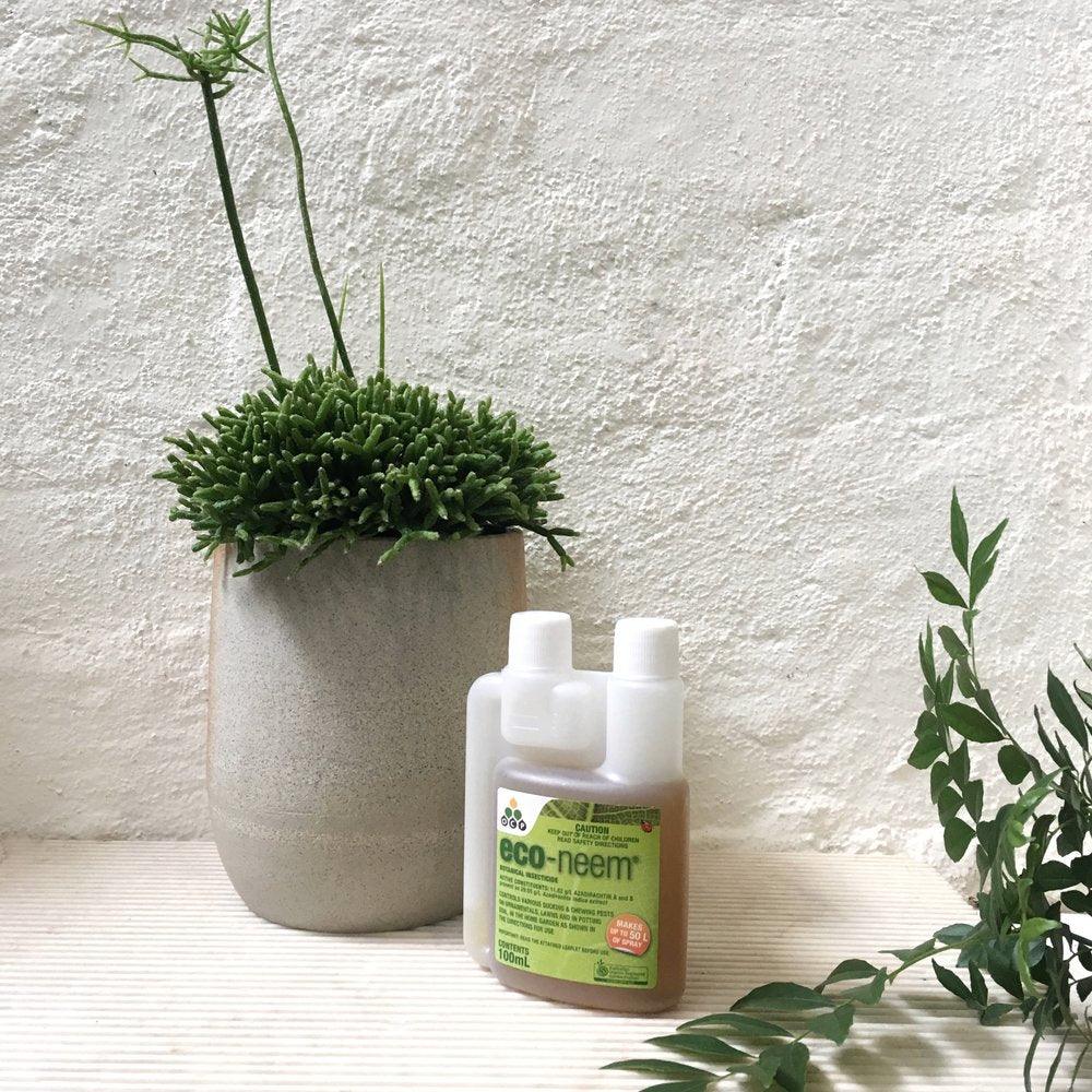 Eco-Neem - THE PLANT SOCIETY